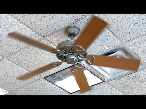 Regency MX Excel Ceiling Fan at Subway (Cooper City, FL)