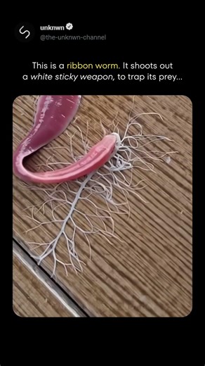 Basically an Alien on Earth