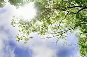 譁ｰ邱代・逕ｺ繧呈ｭｩ縺代・-nicozon