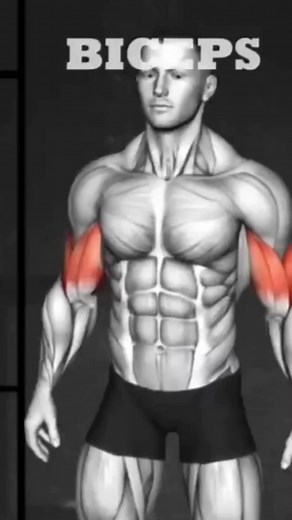 Treino de biceps(Biceps workout) - Akon and 50 Cent | Gym Motivation