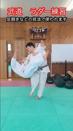 [Martial Arts] Introducing ladder training for high-speed leg movements! #aikido #karate #martial...
