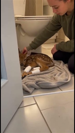 Je ne pouvais pas rester sans rien faire