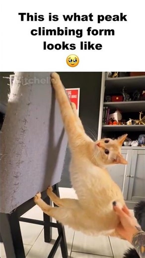 This Is What Peak Climbing Form Looks Like