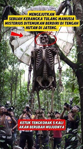 Misteri Kerangka manusia berdiri dihutan⁉️#shorts #misteri #viral