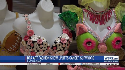 12th Annual Bra Art Fashion Show held to support breast cancer survivors