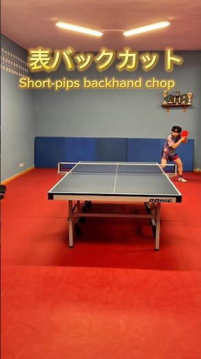 short-pips backhand cut(chop) 表ソフトのバックカット #chopper #カットマン #pingpong #卓球 #tabletennis
