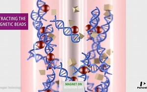 3D Animation – Principle af DNA_RNA Isolation