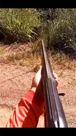 “Hunting Wild Pigs in Action! 🐗💥” #PigHunting #BoarHunting #WildBoar