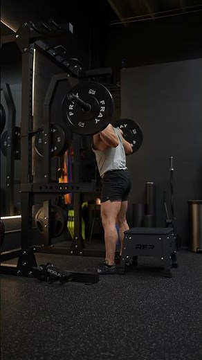 Barbell Back Squat (box support): SUMMIT