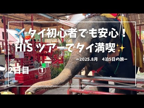 初心者必見！アユタヤ観光ツアーでタイの歴史に感動【タイ旅行Vlog】①