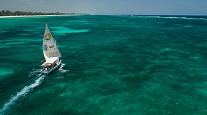 How scientific research can enable stricter plastic pollution laws