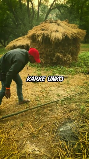 Day 2: Making My Own Bamboo House 🏠 #minivlog #shorts #ytshorts #foodieshorts #mrbeastshorts