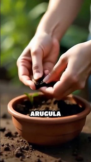 Grow Arugula Indoors Like a Leafy Legend