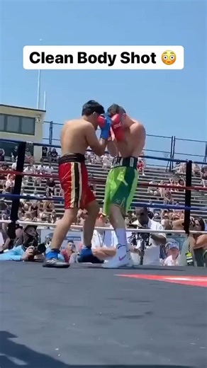 body shot tutorial by vashu boxer #boxing #fightprep #boxingexercise #mma #tranding #miketyson