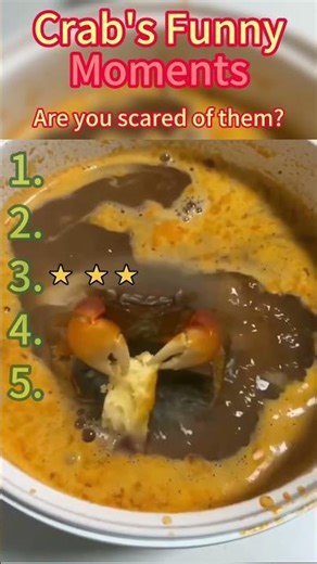 Crab’s Funny Moments 🦀 #crab #funnyanimals #funnyvideos #Foryou