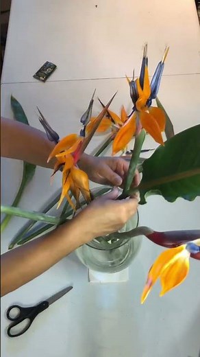 How to make a simple bird of paradise flower arrangement