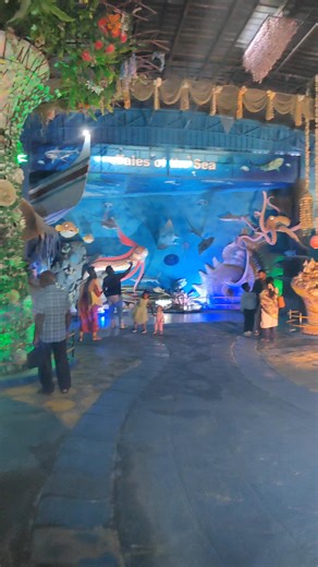 SEA SHELL MUSEUM MAMALLAPURAM #ivankasinghofficial #viralreels #facebookreelsviral #facebookreelsvideo #trendingreels #youtubeshorts #ytshorts #museum #entertainment #viralvideos #instareels #instagramreels #instadaily #facebookreel #facebookpostシ | Ivanka Singh