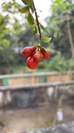 মৃত্যুর আগে তাওবা করলে গোনাহ মাফ হবে কি না #abutohamohammadadnan #viralvideo #waz