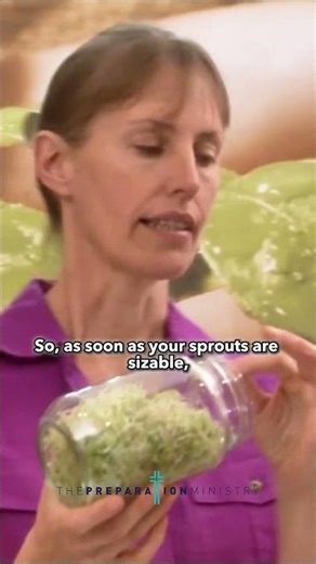The Mistake Most People Make With Sprouts | Karin Rose | The Preparation Ministry