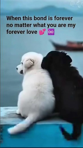 forver love 😍♾️. #foreverlove #deeplove #love #couplegoal #loveyousomuch