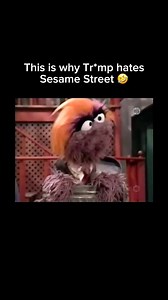 This is iconic. Guess Donald couldn’t take the muppet’s heat. 🤣 #trump #sesamestreet #funny | Gwen Levey and The Breakdown