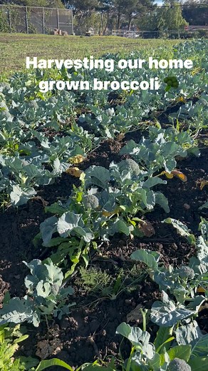 13 reactions | Malibu Farm on Reels | Facebook