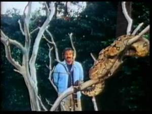 Animals, Animals, Animals - Alchetron, the free social encyclopedia