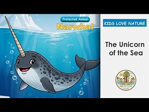 The Unicorn of the Sea! 🌊 Narwhal Facts & Story for Kids (Kindergarten Reading)