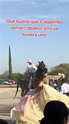 They don't sell horses at Coppel.