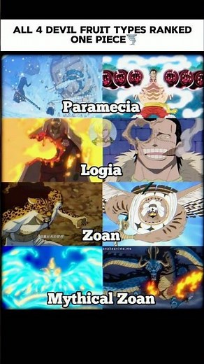 All 4 Devil Fruit Types Ranked! 🔥 One Piece #anime #onepiece #meme