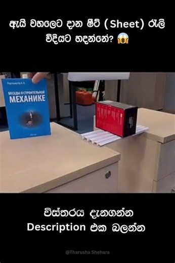 කොළ කෑල්ලකට මෙච්චර බරක් දරන්න පුලුවන්ද? 😱 | විශ්මිත විද්‍යාත්මක සත්‍යයක්