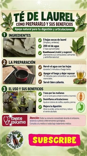🍃 El SECRETO Milenario del Té de Laurel que Casi Nadie Conoce