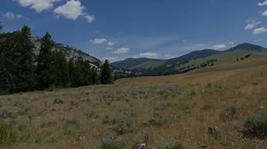 1.3K views · 39 reactions | Hellroaring Creek and Garnet Hill Loop are great day hikes separately or paired together for a longer day. Full story with photos at https://www.hike734.com/trip/garnet-hill-loop-hellroaring-creek/ | Hike 734 | Facebook