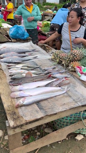Local market in Nong Khiaw, Laos #iamdasee #travel #nightmarket