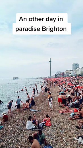 Brighton Beach Activities: Sunbathing and Swimming