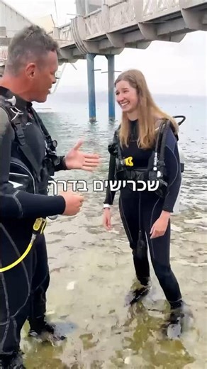 כרישים באילת