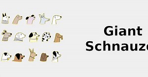 Giant Schnauzer (Dog breed traits) 🐶 2022