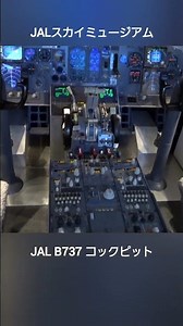 JALスカイミュージアムに設置されている、B737のコックピット