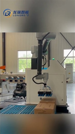 Robotic Palletizer Factory Test | Automatic Palletizing Machine for Industrial Automation #shorts