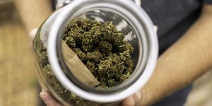 Cannabis shop and attorney push for decriminalization of marijuana