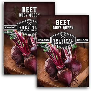 Ruby Queen Beet Seeds for Planting - Deep Red Beets for Garden Growing Outdoors, High Yield Heirloom Variety, Non-GMO Open Pollinated - Survival Garden Seeds (2 Pack)