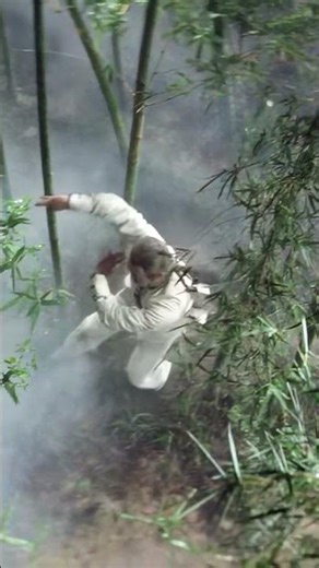 Warriors Two (1978) "Bamboo forest" #shorts