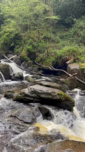 Good afternoon.in early summer I was fortunate enough visit the house and grounds of Muckross House on the shores of the Killarney Lakes . It was a grand home that has been reshaped over the centuries into a peaceful visitors paradise. The main house is Edwardian and Victorian interiors and on the grounds there is garden and waterfalls . The freshness and beautiful sounds envelopes you as you approach the waterfalls there .. #killarneynationalpark #waterfall #waterfalllovers #irishartist #irish 