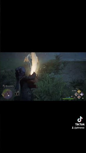 How to catch an albino diricawl in hogwarts legacy