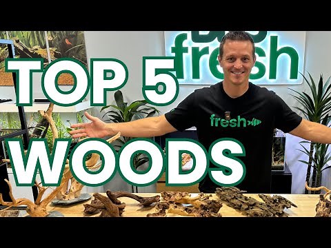 MUST WATCH before choosing your Aquarium DRIFTWOOD