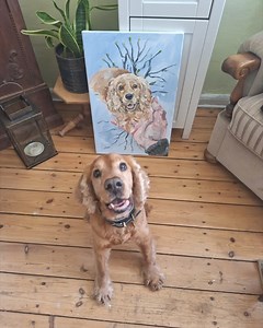 🧡 Dieses Happy End dürft ihr euch auf keinen Fall entgehen lassen! 🧡 Unser Sunny wartet schon 13 Jahre im Tierheim, weil er wirklich ein schwieriger Charakter ist. Vieles ging nur mit Maulkorb, die meisten Interessenten fühlten sich seinem Wesen nicht gewachsen. Aber mit dem Alter ist er auch ruhiger und weiser geworden. Jetzt hat seine Tierpflegerin ihn kurzerhand zu sich genommen.🧡 Die beiden sind ein großartiges Team und Sunny könnte nicht glücklicher sein. Danke Marie, dass du ihm zeigst,