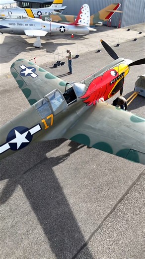 A true WWII workhorse. 💪 The Curtiss P-40N Warhawk earned its reputation the hard way—flying in harsh conditions and intense combat across multiple theaters of WWII. This aircraft tells the story of determination, strength, and Allied air power. #Warbird #AviationHistory #AviationLovers #AirMuseum | Warhawk Air Museum