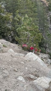 1.2M views · 3K reactions | FD RX7 destroyed | Drift HQ AU | Facebook