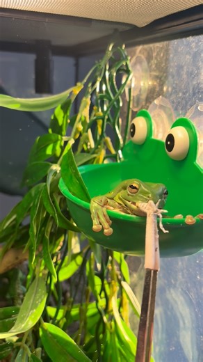 Wobble & Gobble & Bubble on Instagram: "Wobble’s aiming is as precise as ever😂"