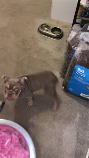 Molly Price-roberts on TikTok